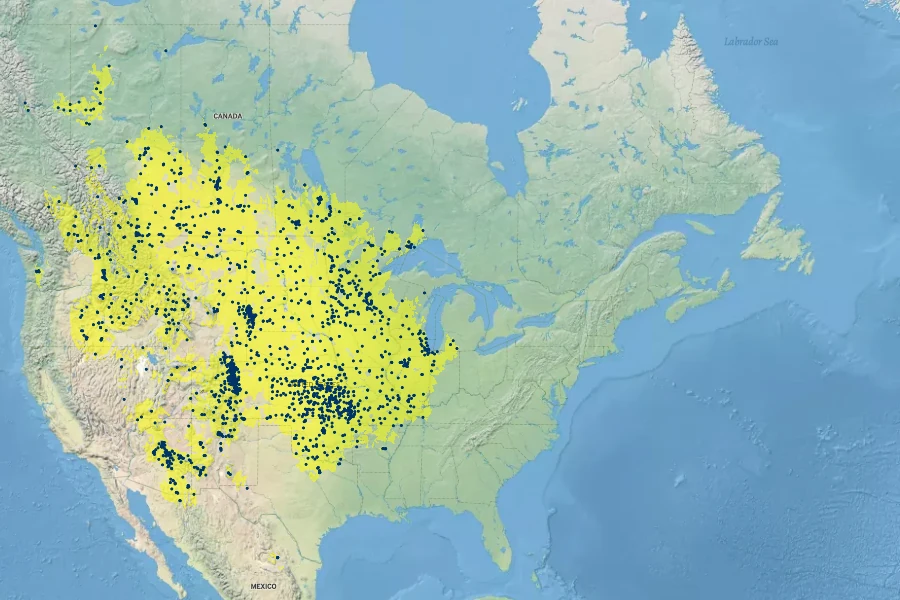 Solidago missouriensis Native Range
