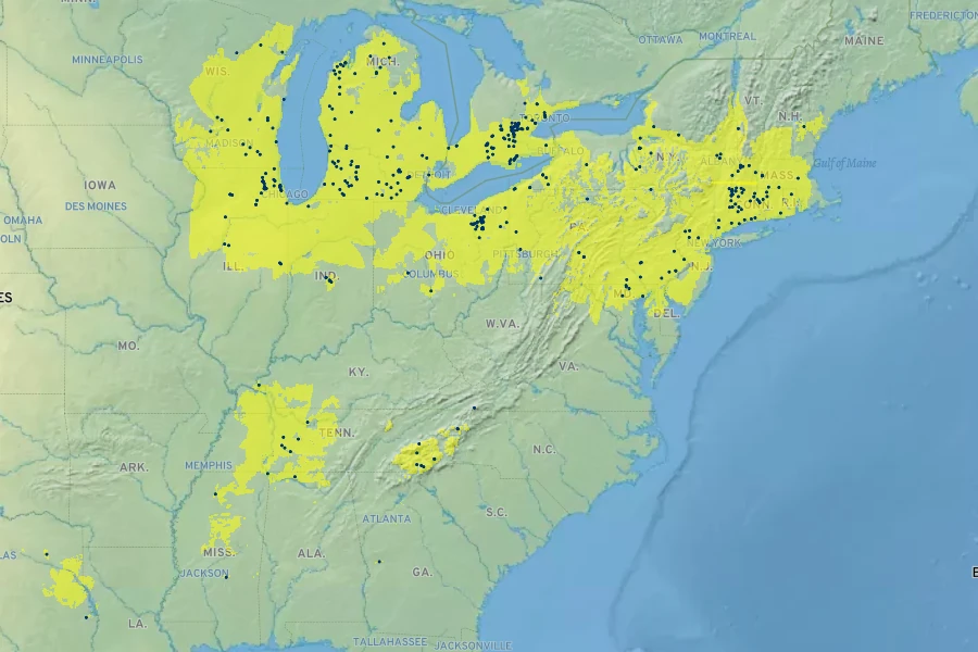 Solidago patula Native Range