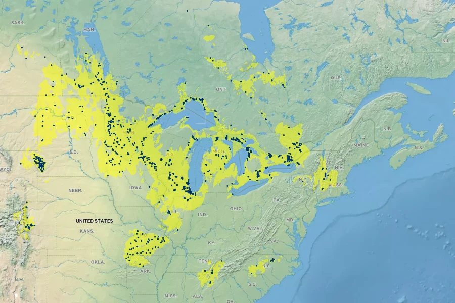 Solidago ptarmicoides Native Range