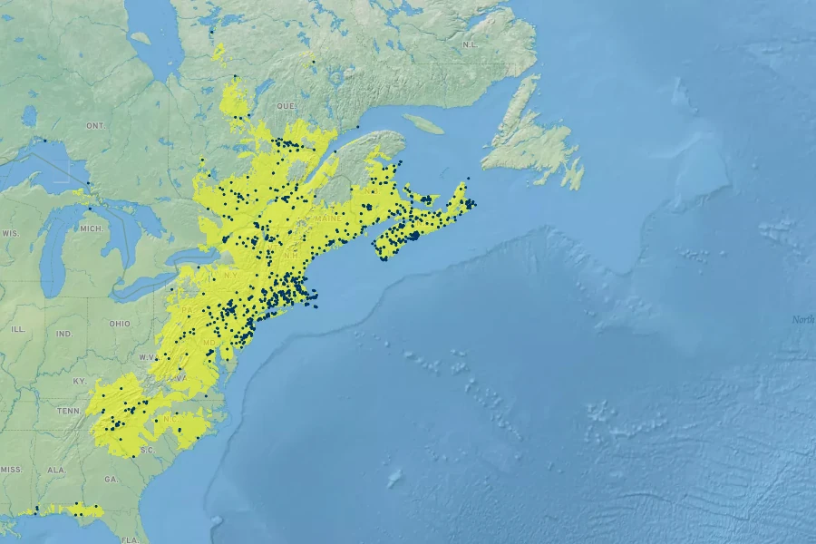Solidago puberula Native Range