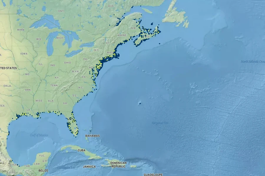 Solidago sempervirens Native Range