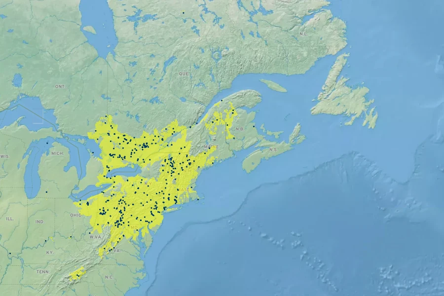 Solidago squarrosa Native Range