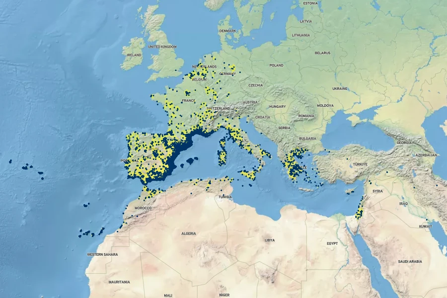 Sonchus tenerrimus Native Range