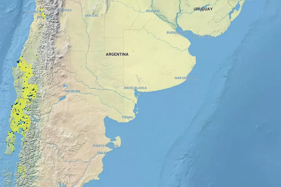 Sophora cassioides Native Range