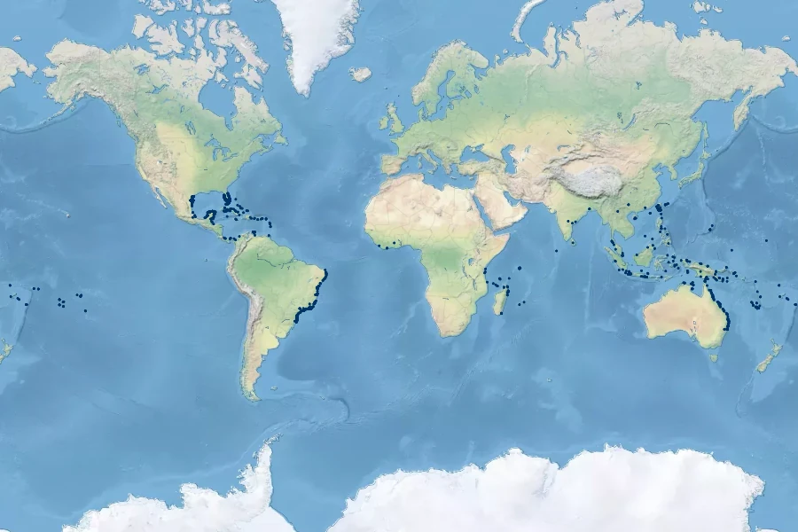 Sophora tomentosa Native Range