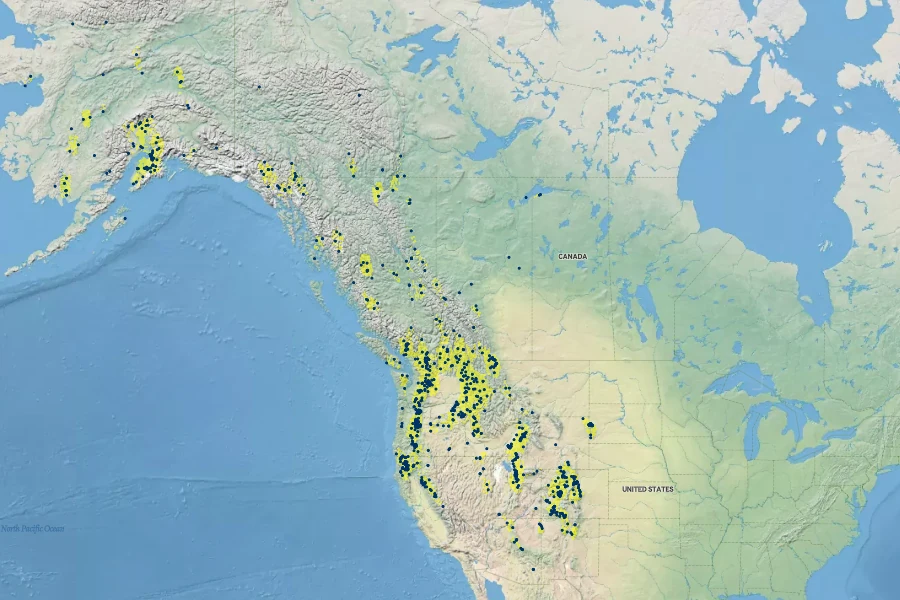 Sorbus scopulina Native Range