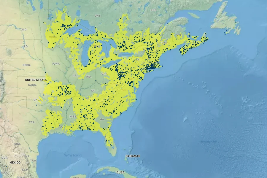 Sparganium americanum Native Range