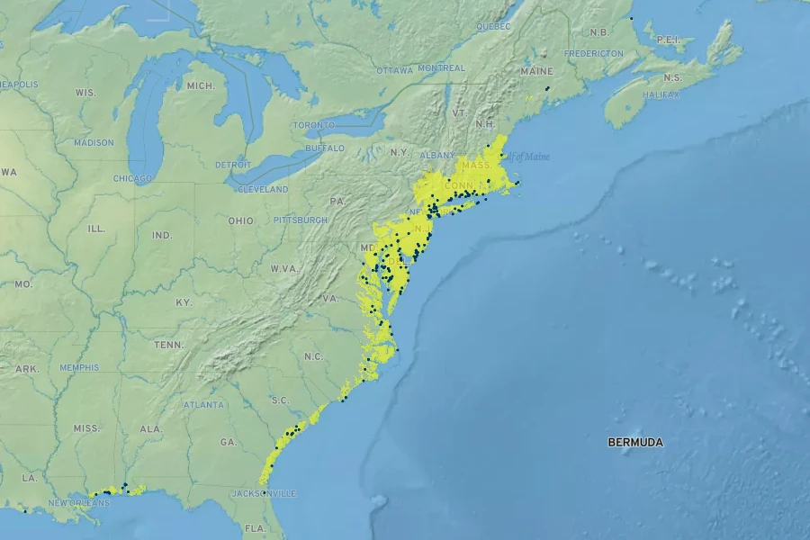Spartina cynosuroides Native Range