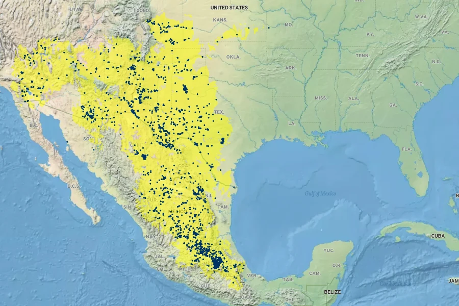 Sphaeralcea angustifolia Native Range