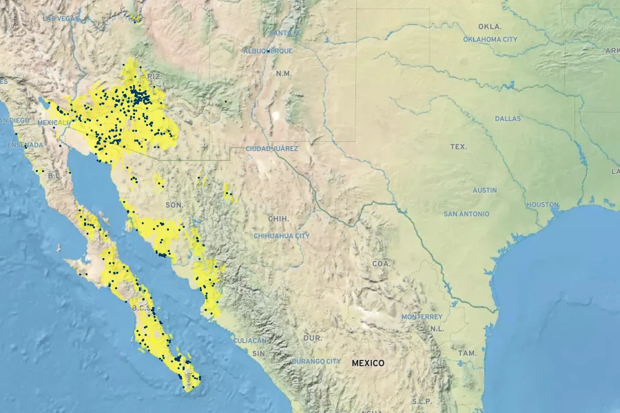 Sphaeralcea coulteri Native Range