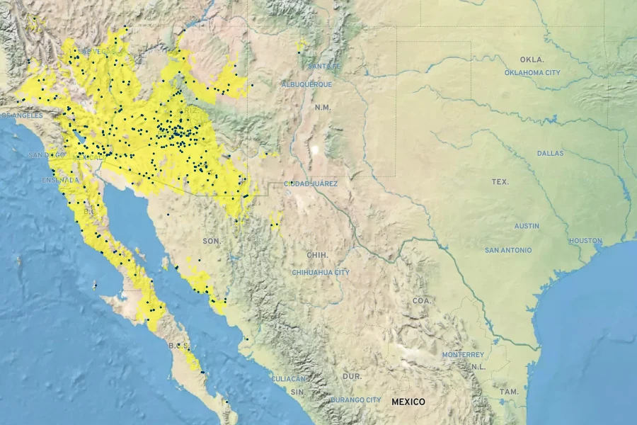 Sphaeralcea emoryi Native Range