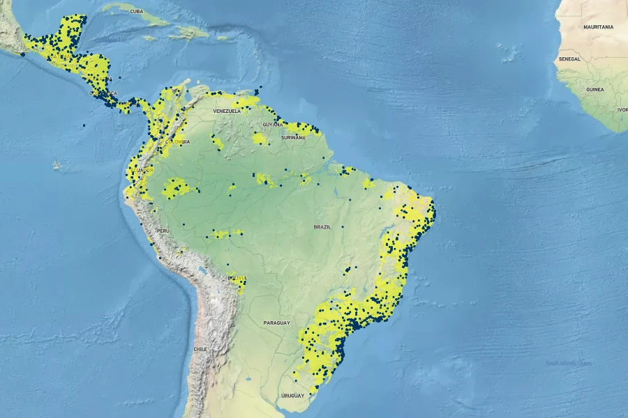 Sphagneticola trilobata Native Range