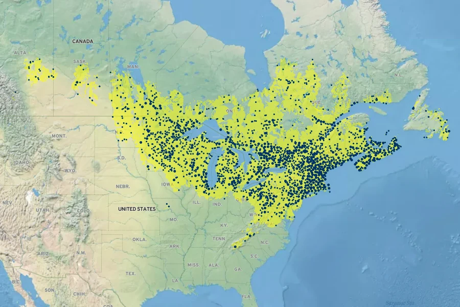 Spiraea alba Native Range