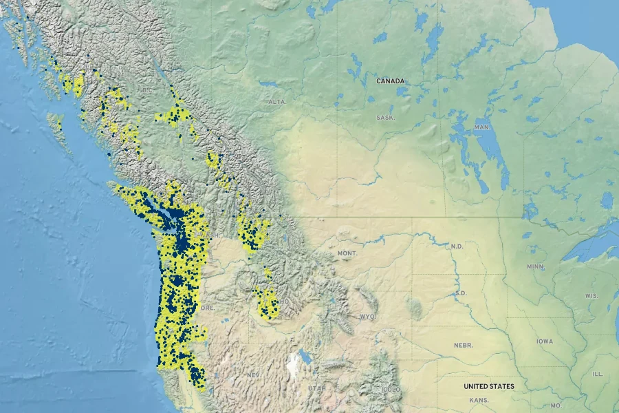 Spiraea douglasii Native Range