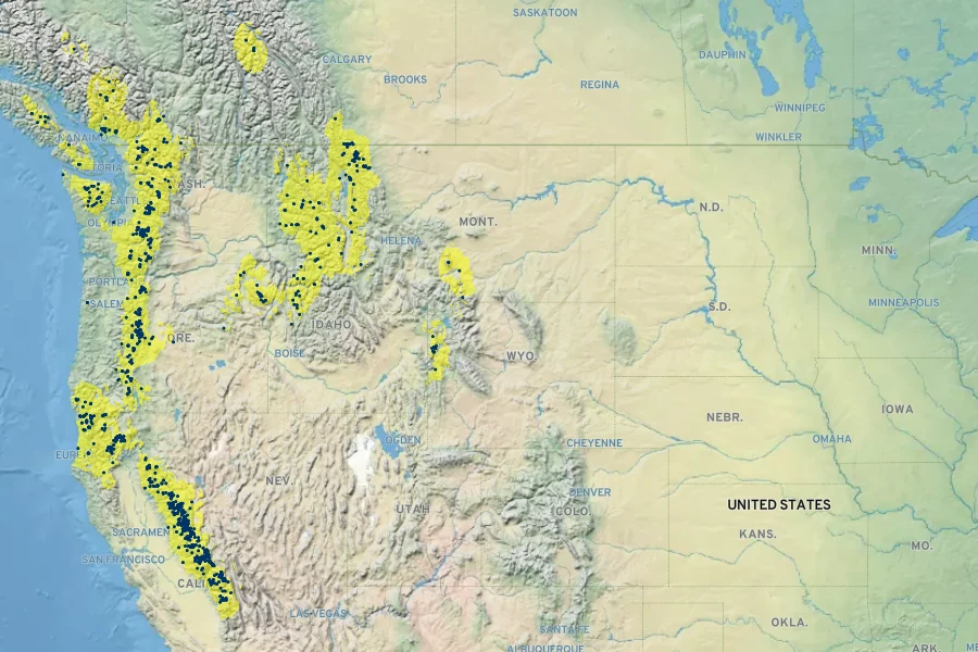 Spiraea splendens Native Range