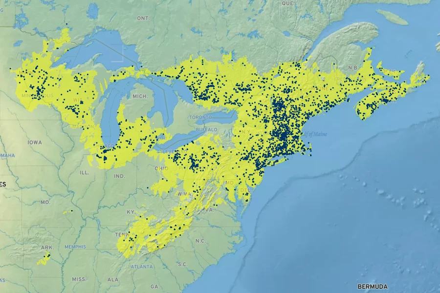 Spiraea tomentosa Native Range
