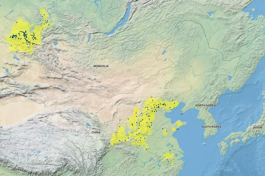 Spiraea trilobata Native Range