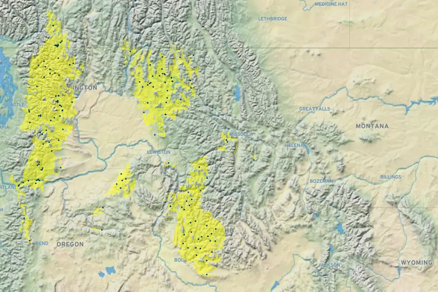 Spiraea ×pyramidata Native Range