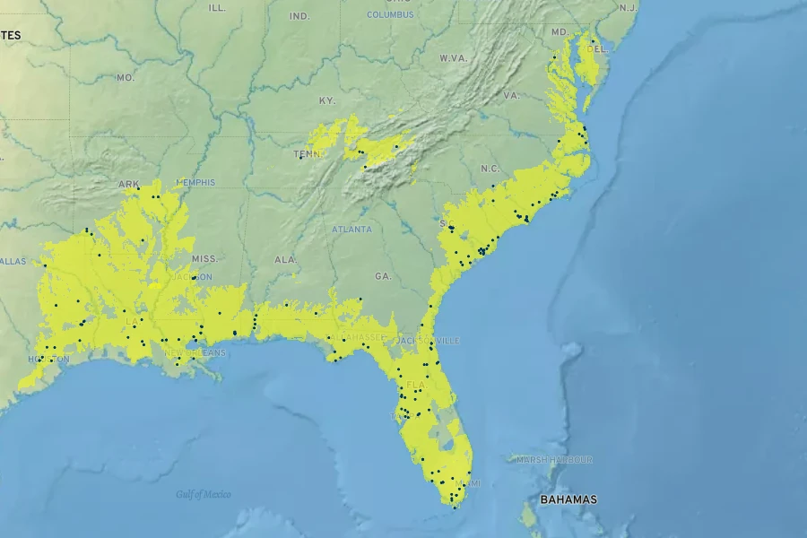 Spiranthes odorata Native Range