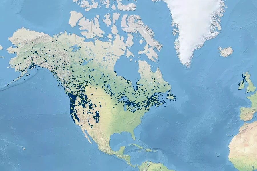 Spiranthes romanzoffiana Native Range