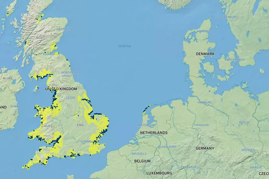 Sporobolus anglicus Native Range