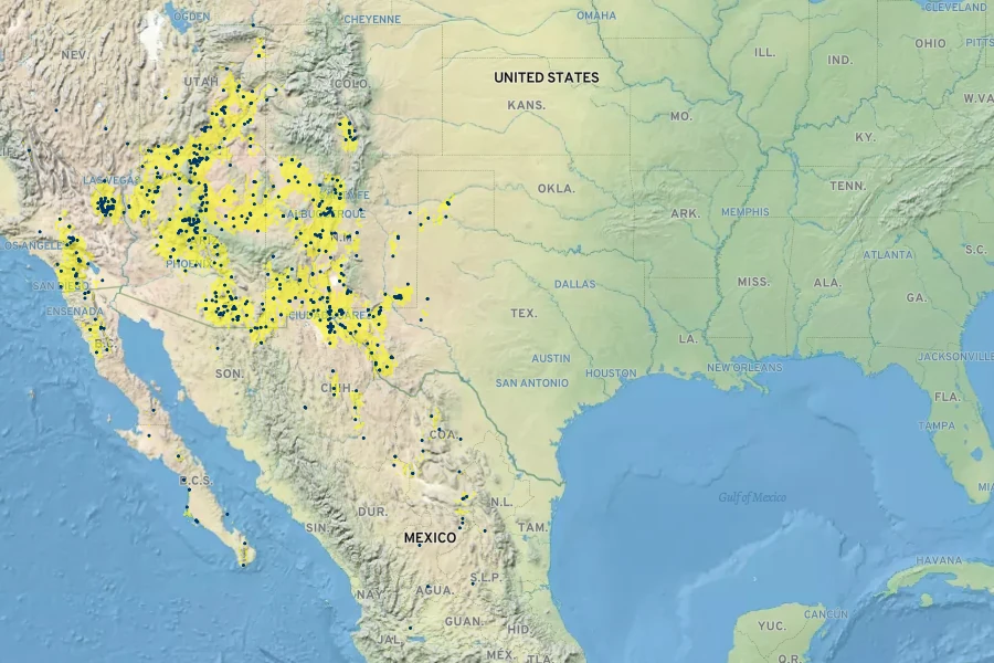 Sporobolus contractus Native Range