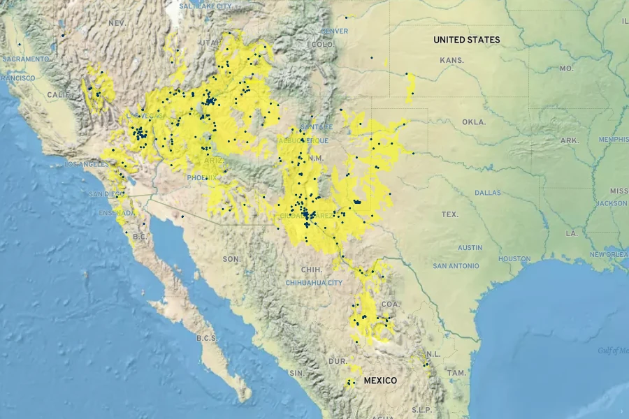 Sporobolus flexuosus Native Range