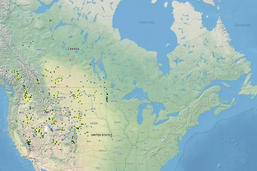 Sporobolus hookerianus Native Range