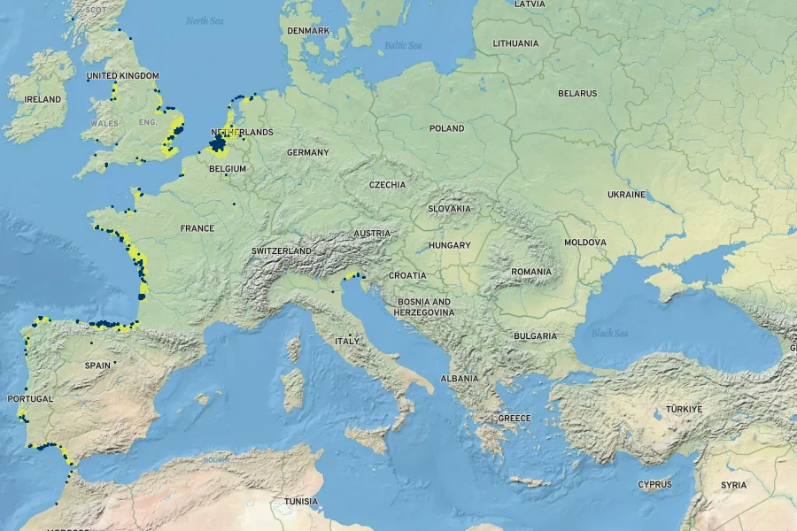 Sporobolus maritimus Native Range