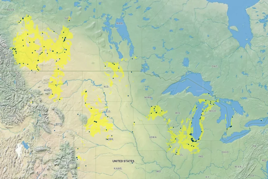 Sporobolus rigidus Native Range
