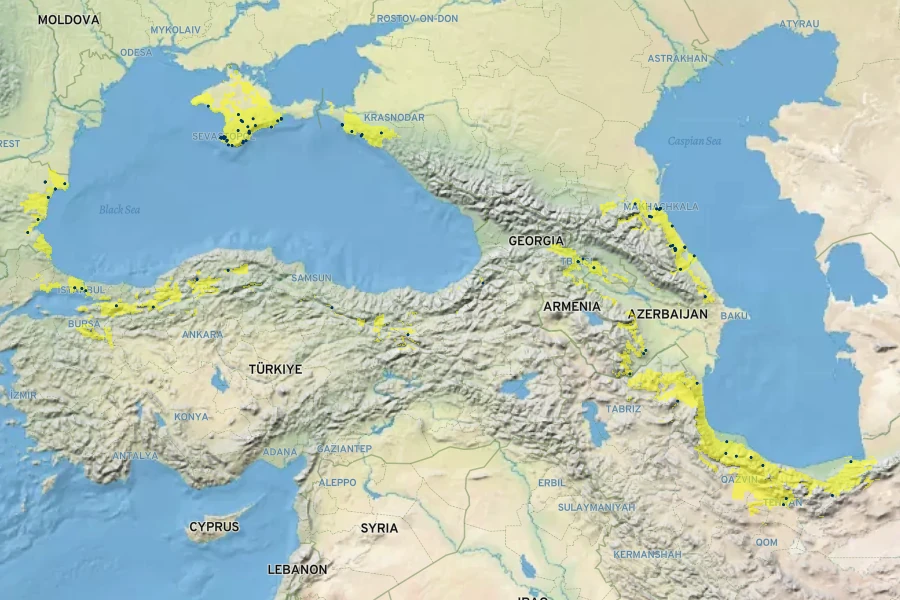 Stachys byzantina Native Range