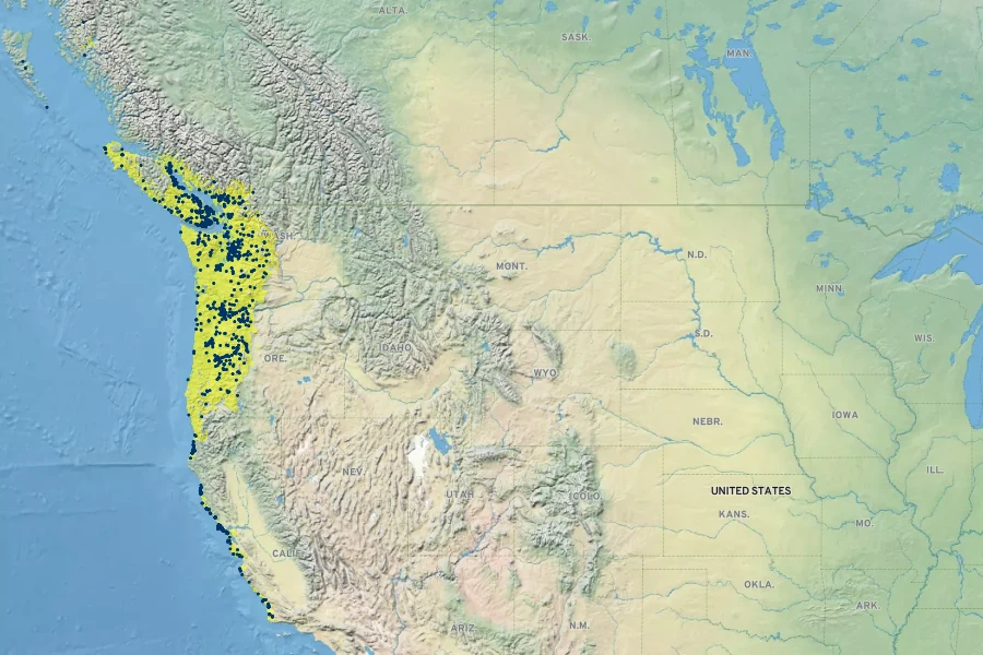 Stachys chamissonis Native Range