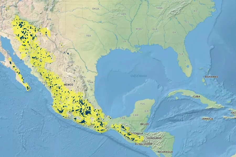 Stachys coccinea Native Range