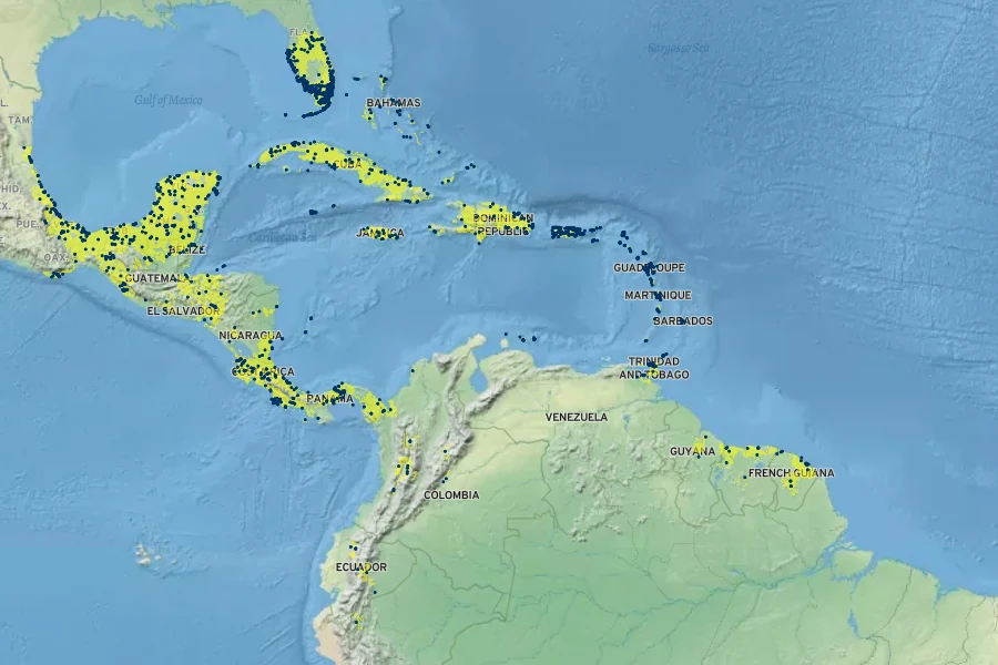 Stachytarpheta jamaicensis Native Range