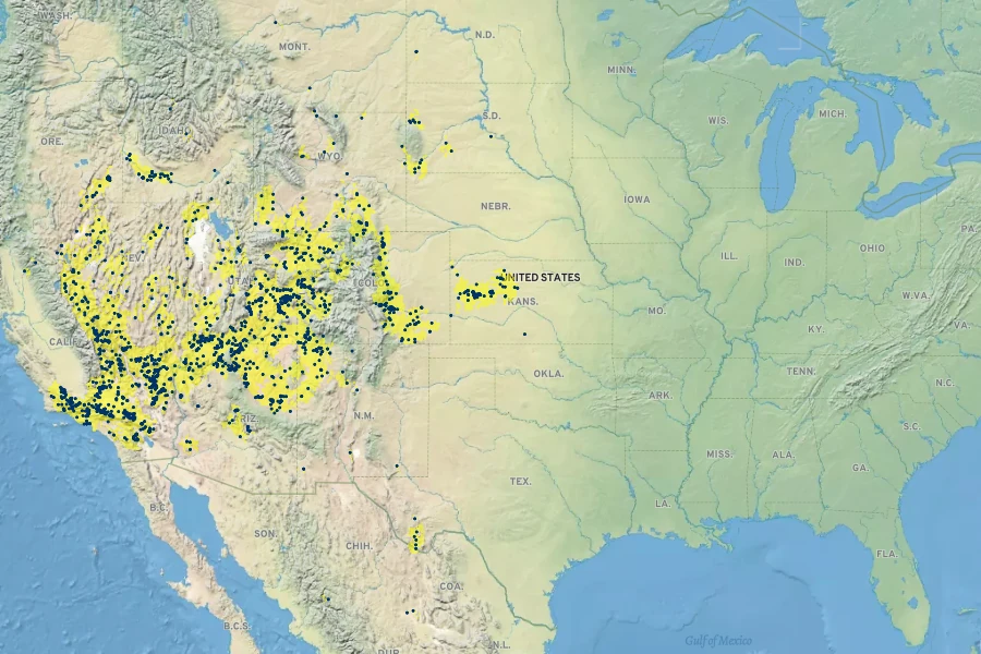 Stanleya pinnata Native Range