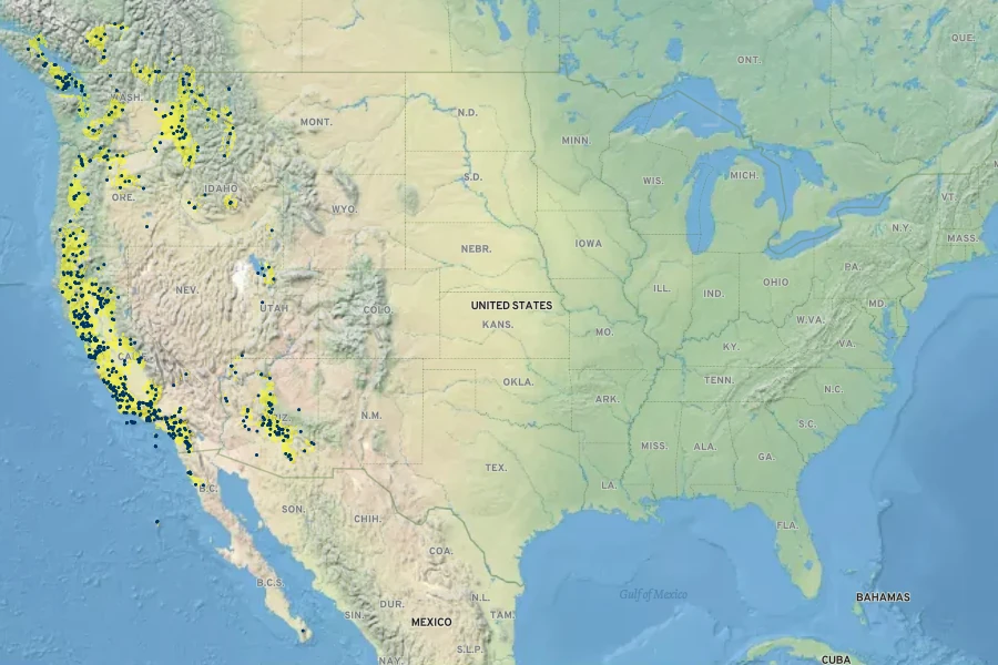 Stellaria nitens Native Range
