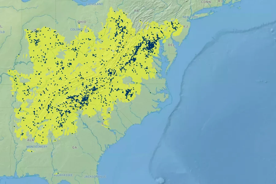 Stellaria pubera Native Range