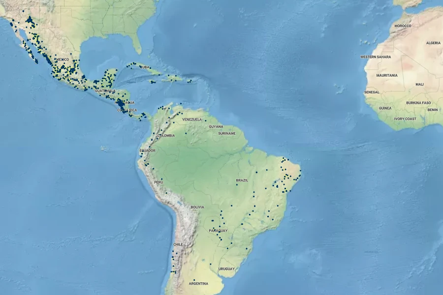 Stemodia durantifolia Native Range