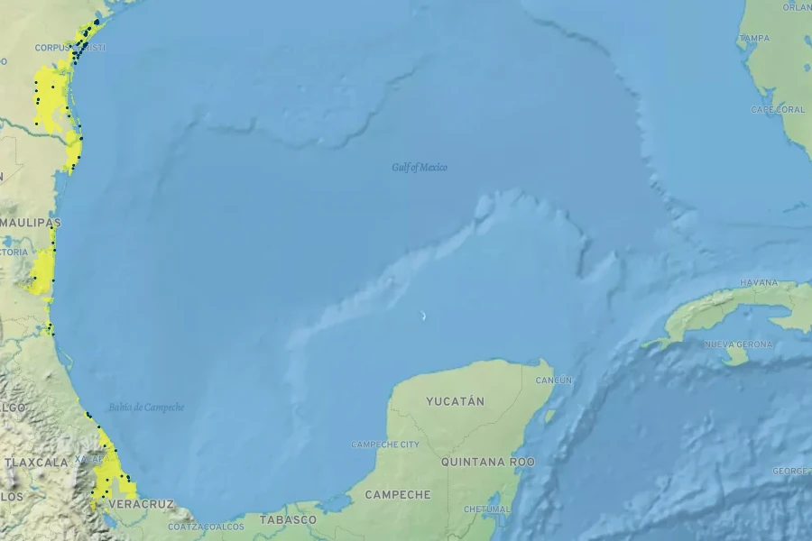 Stemodia lanata Native Range
