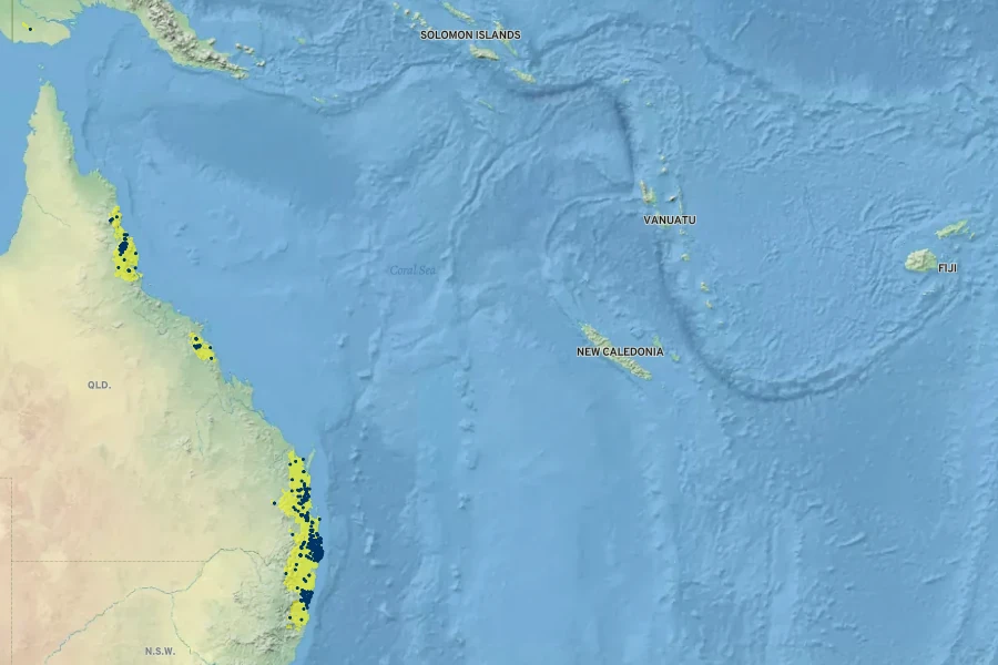 Stenocarpus sinuatus Native Range