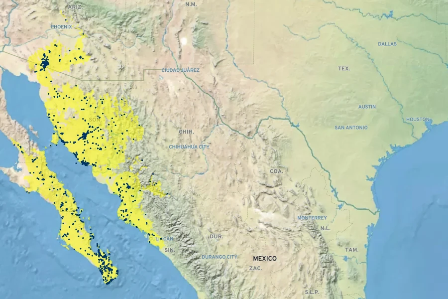 Stenocereus thurberi Native Range