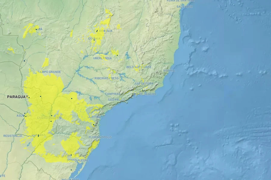 Stevia rebaudiana Native Range