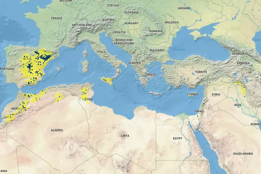 Stipa barbata Native Range