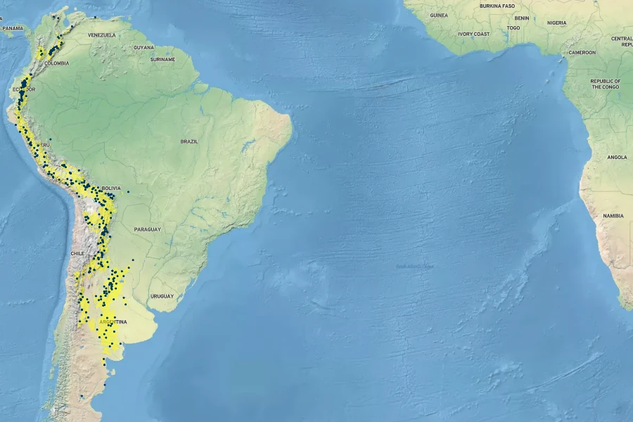 Stipa ichu Native Range