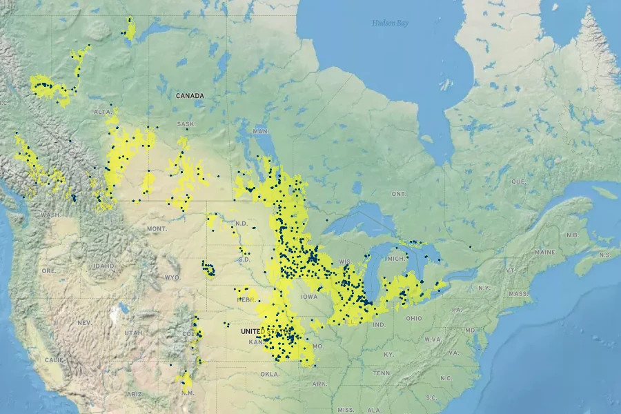 Stipa spartea Native Range