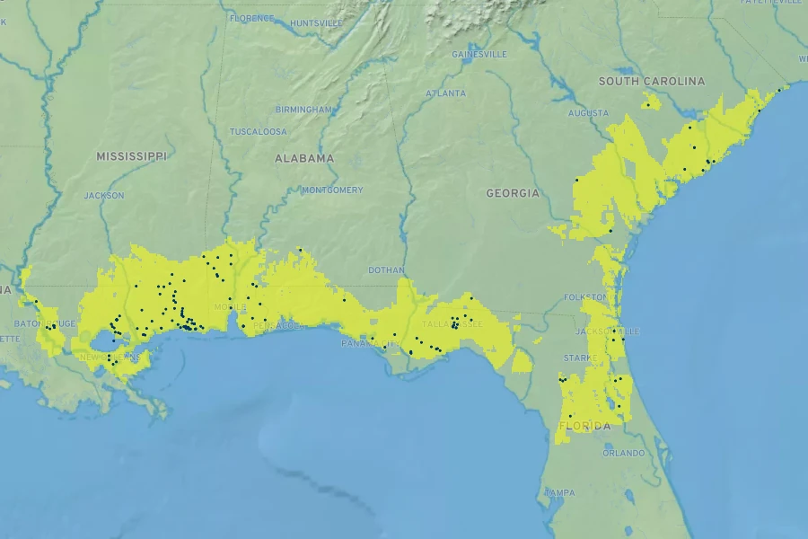 Stokesia laevis Native Range