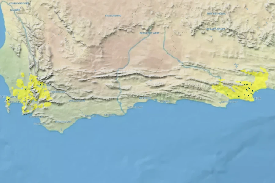 Strelitzia juncea Native Range