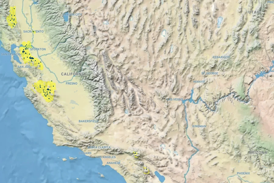 Streptanthus flavescens Native Range
