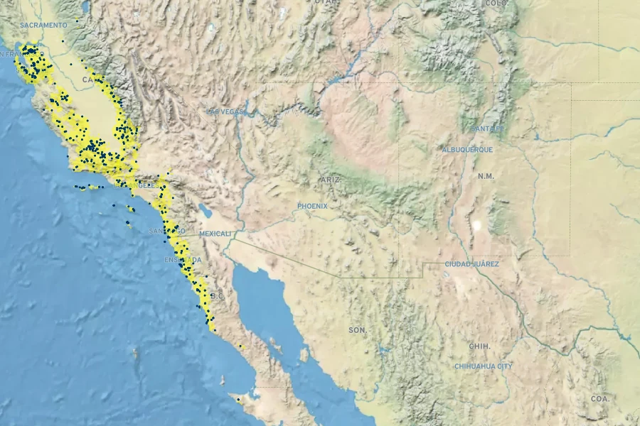 Stylomecon heterophylla Native Range