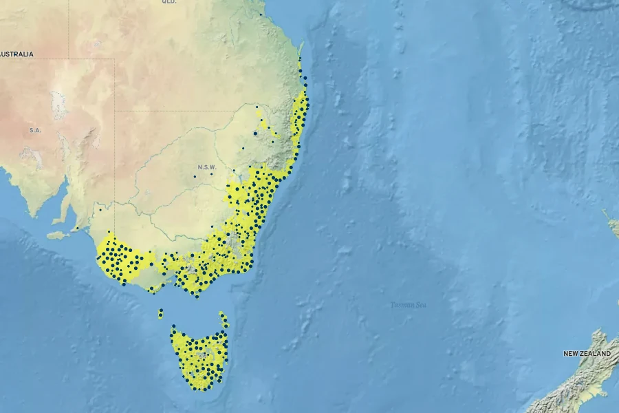 Styphelia ericoides Native Range